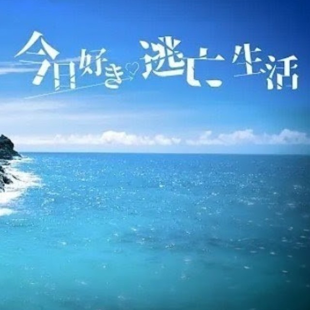 今日好き逃亡生活考察スレ